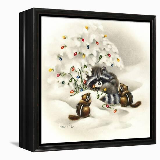 Raccoon, Chipmunks and Christmas Lights-Peggy Harris-Framed Premier Image Canvas