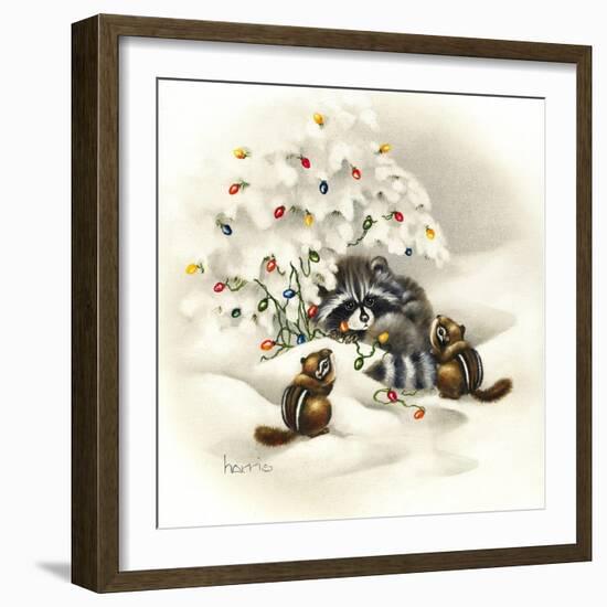 Raccoon, Chipmunks and Christmas Lights-Peggy Harris-Framed Giclee Print