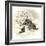 Raccoon, Chipmunks and Christmas Lights-Peggy Harris-Framed Giclee Print