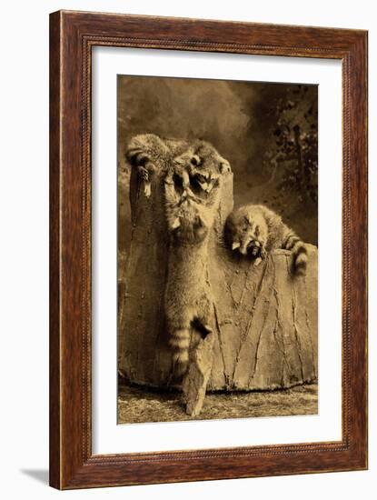 Raccoon Family-null-Framed Art Print