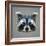 Raccoon Low Poly Portrait-kakmyc-Framed Art Print