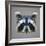 Raccoon Low Poly Portrait-kakmyc-Framed Art Print