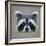 Raccoon Low Poly Portrait-kakmyc-Framed Art Print