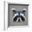 Raccoon Low Poly Portrait-kakmyc-Framed Art Print