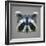 Raccoon Low Poly Portrait-kakmyc-Framed Premium Giclee Print