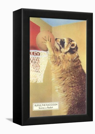 Raccoon Playing Basketball-null-Framed Stretched Canvas