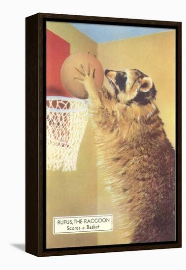 Raccoon Playing Basketball-null-Framed Stretched Canvas