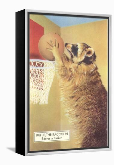 Raccoon Playing Basketball-null-Framed Stretched Canvas