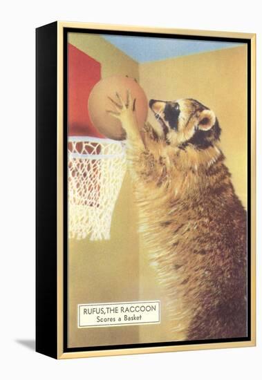 Raccoon Playing Basketball-null-Framed Stretched Canvas