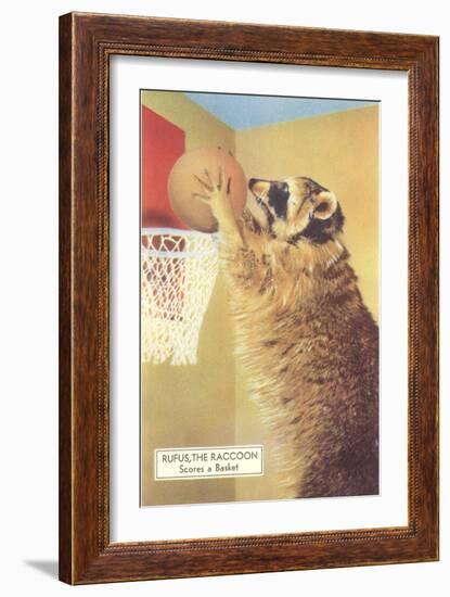 Raccoon Playing Basketball--Framed Art Print