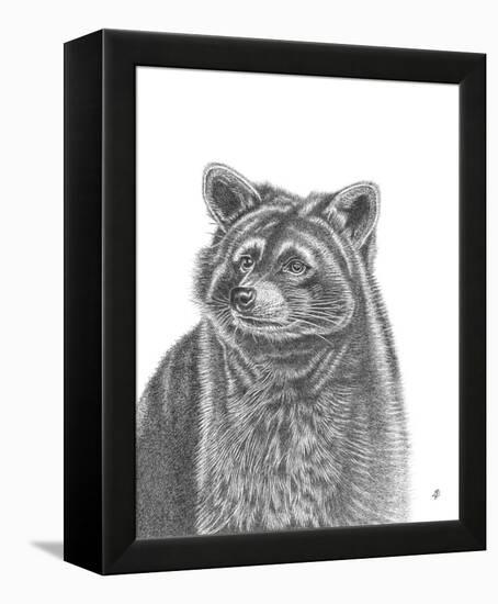 Raccoon Portrait-Lucy Francis-Framed Stretched Canvas