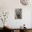 Raccoon, Procyon Lotor, Florida, Usa-Maresa Pryor-Photographic Print displayed on a wall