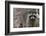 Raccoon, Procyon Lotor, Florida, Usa-Maresa Pryor-Framed Photographic Print