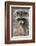 Raccoon, Procyon Lotor, Florida, USA-Maresa Pryor-Framed Photographic Print