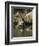 Raccoon (Racoon) (Procyon Lotor) at Waters Edge with Reflection, in Captivity, Minnesota, USA-James Hager-Framed Photographic Print