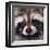 Raccoon-Sarah Stribbling-Framed Giclee Print