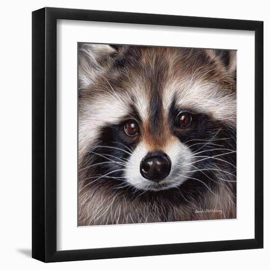 Raccoon-Sarah Stribbling-Framed Giclee Print