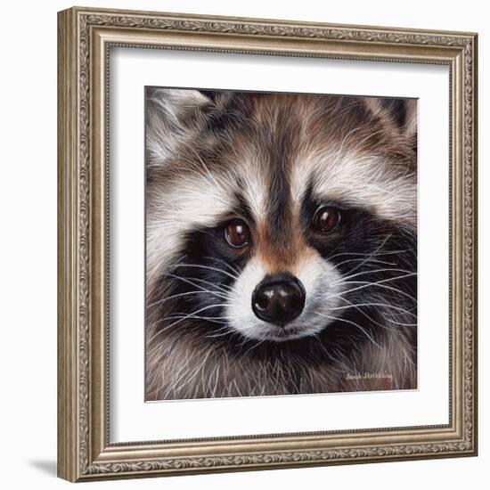 Raccoon-Sarah Stribbling-Framed Giclee Print