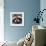 Raccoon-Sarah Stribbling-Framed Giclee Print displayed on a wall