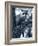 Raccoon-Gordon Semmens-Framed Photographic Print