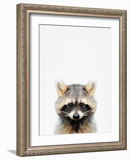 Raccoon-Tai Prints-Framed Photographic Print