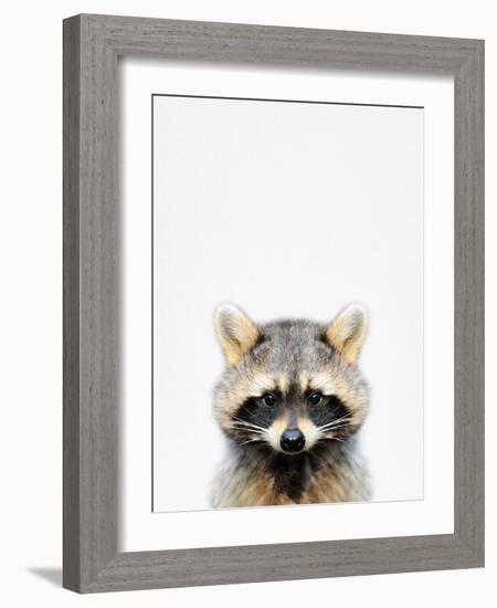 Raccoon-Tai Prints-Framed Photographic Print