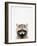 Raccoon-Tai Prints-Framed Photographic Print