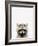 Raccoon-Tai Prints-Framed Photographic Print