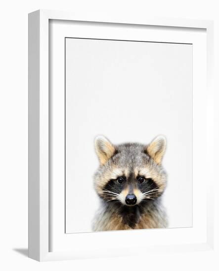 Raccoon-Tai Prints-Framed Photographic Print