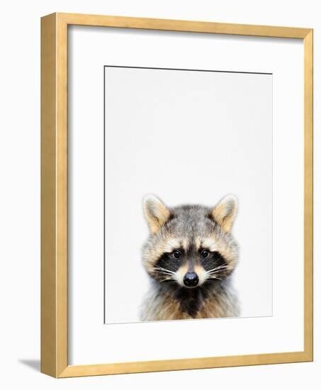 Raccoon-Tai Prints-Framed Photographic Print