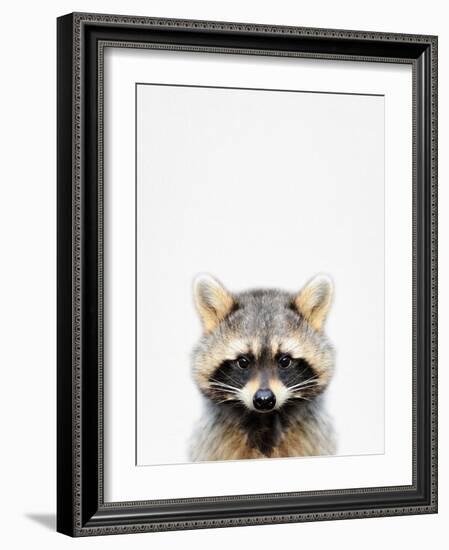 Raccoon-Tai Prints-Framed Photographic Print