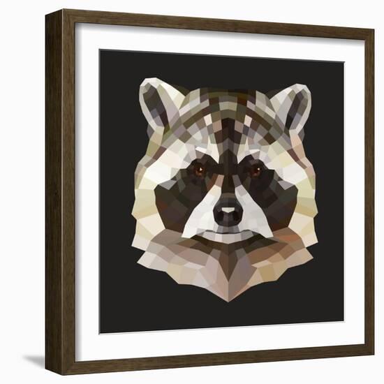 Raccoon-Lora Kroll-Framed Art Print