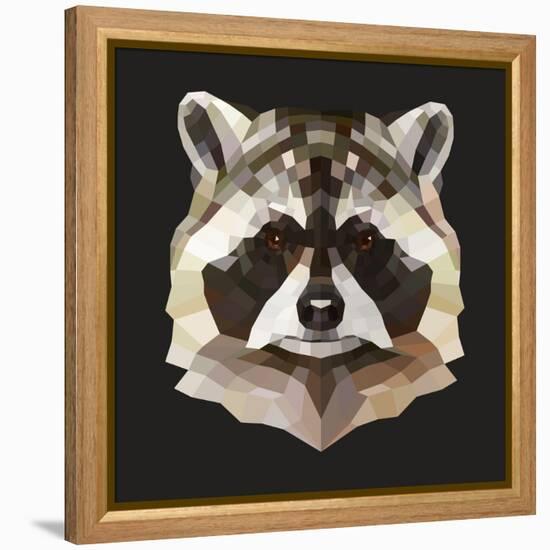 Raccoon-Lora Kroll-Framed Stretched Canvas