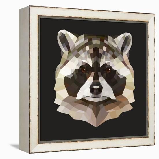 Raccoon-Lora Kroll-Framed Stretched Canvas