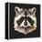 Raccoon-Lora Kroll-Framed Stretched Canvas