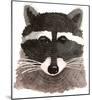 Raccoon-Jeannine Saylor-Mounted Art Print