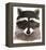 Raccoon-Jeannine Saylor-Framed Stretched Canvas