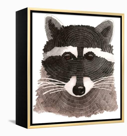 Raccoon-Jeannine Saylor-Framed Stretched Canvas