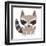 Raccoon-Josefina-Framed Art Print