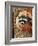 Raccoon-William Vanderdasson-Framed Giclee Print