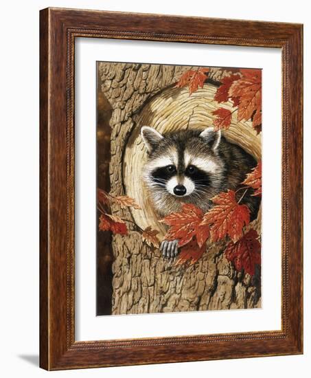 Raccoon-William Vanderdasson-Framed Giclee Print