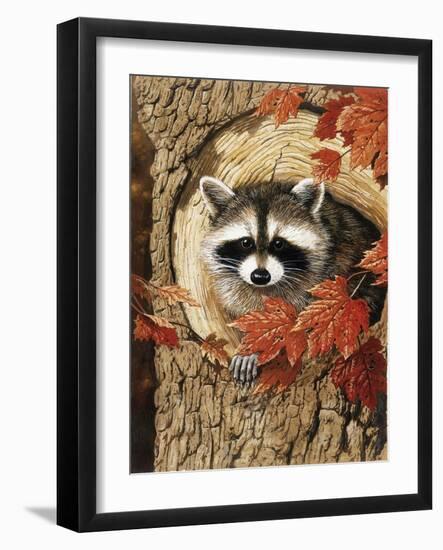 Raccoon-William Vanderdasson-Framed Giclee Print