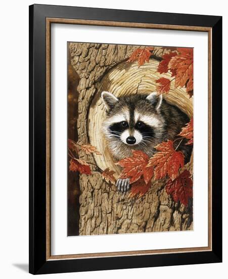 Raccoon-William Vanderdasson-Framed Giclee Print