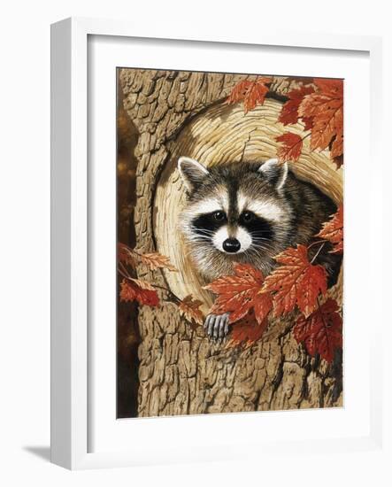 Raccoon-William Vanderdasson-Framed Giclee Print