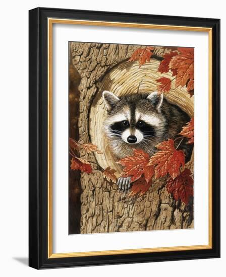 Raccoon-William Vanderdasson-Framed Giclee Print