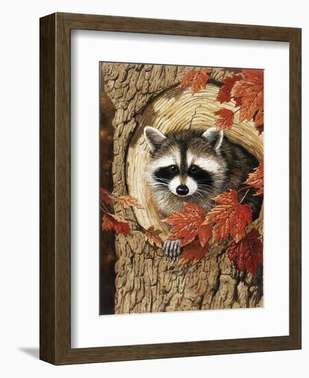 Raccoon-William Vanderdasson-Framed Giclee Print