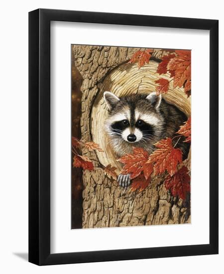 Raccoon-William Vanderdasson-Framed Giclee Print