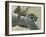 Raccoon-Rusty Frentner-Framed Giclee Print