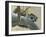 Raccoon-Rusty Frentner-Framed Giclee Print