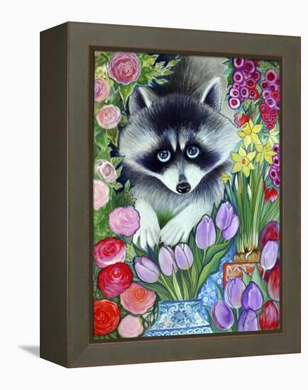 Raccoon-Oxana Zaika-Framed Premier Image Canvas